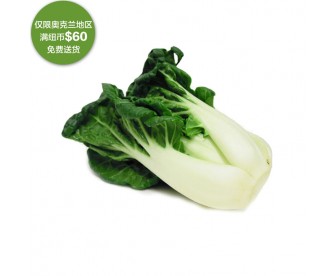 【疫情蔬果专区】广东大白菜 1颗【请单独下单,不要和其它专区商品混搭】 【疫情蔬果专区】广东大白菜 1颗【请单独下单,不要和其它专区商品混搭】